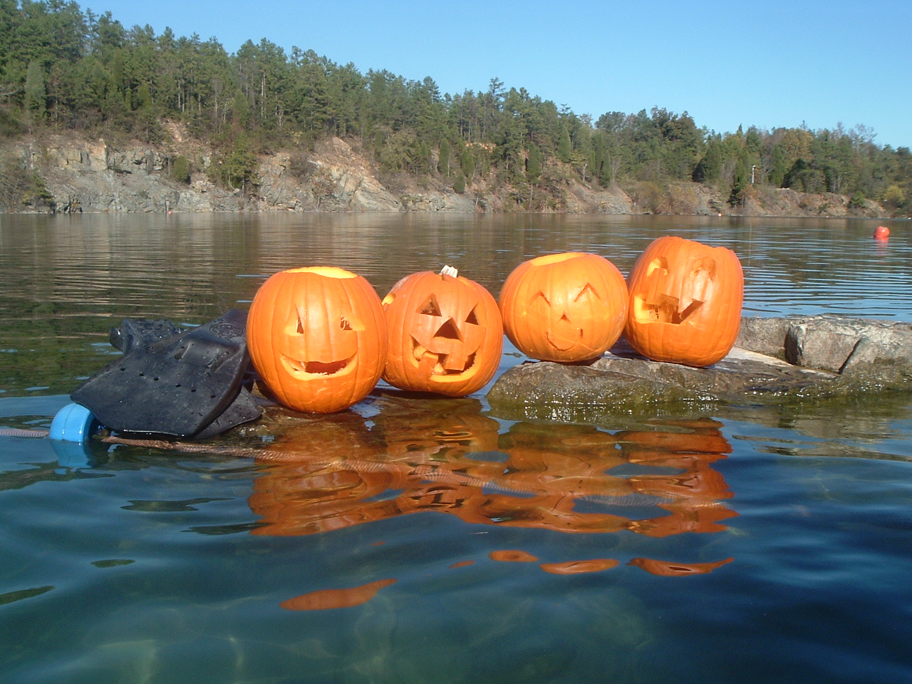 Pumpkin Carving Dive 2005