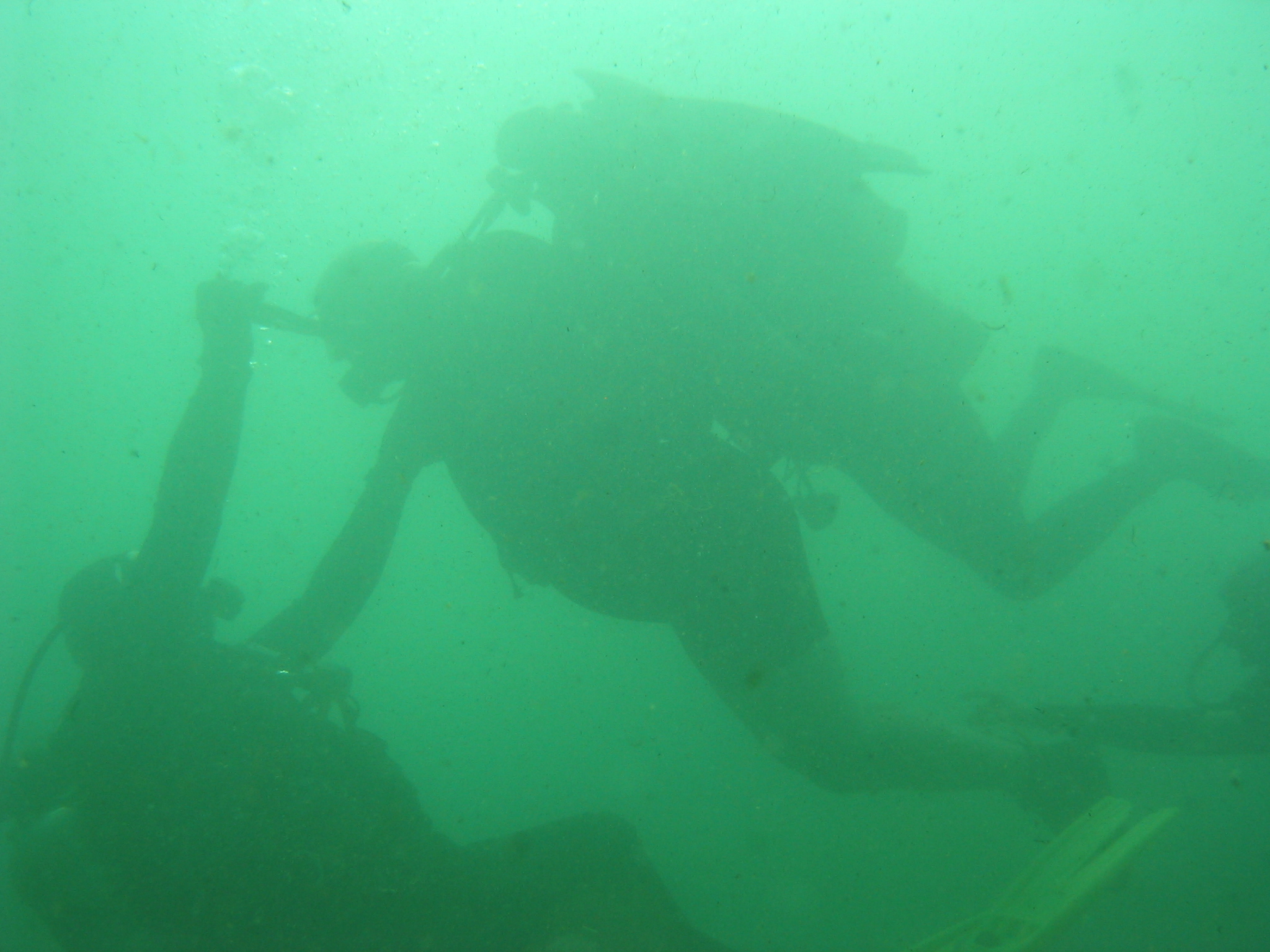 Quadriplegic diver on CESA with legs tied