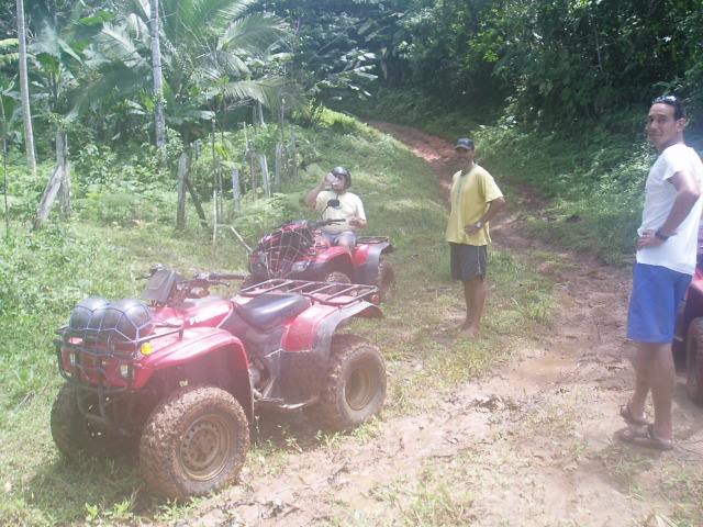 Quads checking out the climb