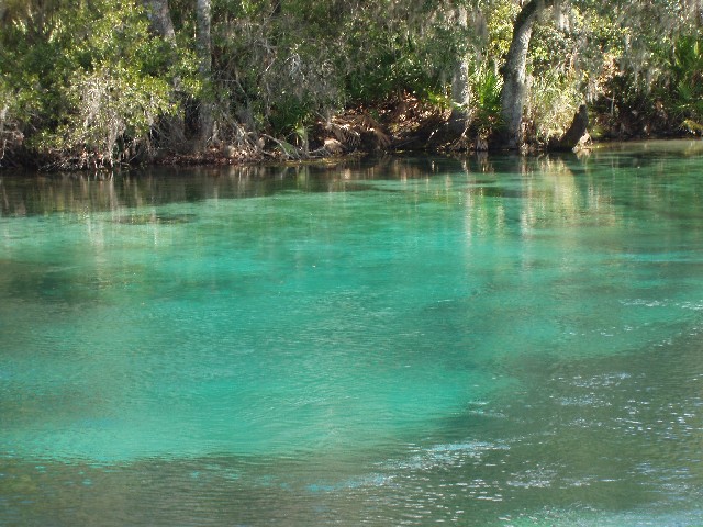 Rainbow River, FL