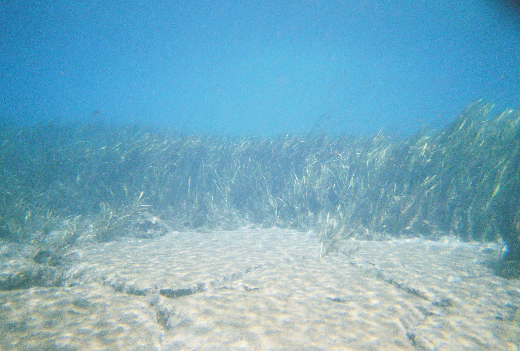 Rainbow River - Sat - May 13 2006