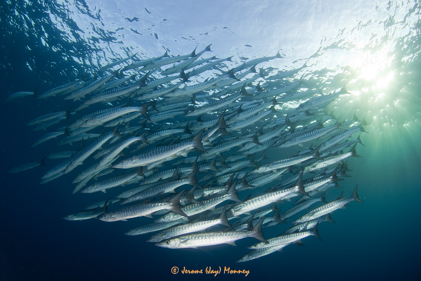 Raja Ampat in March 2013