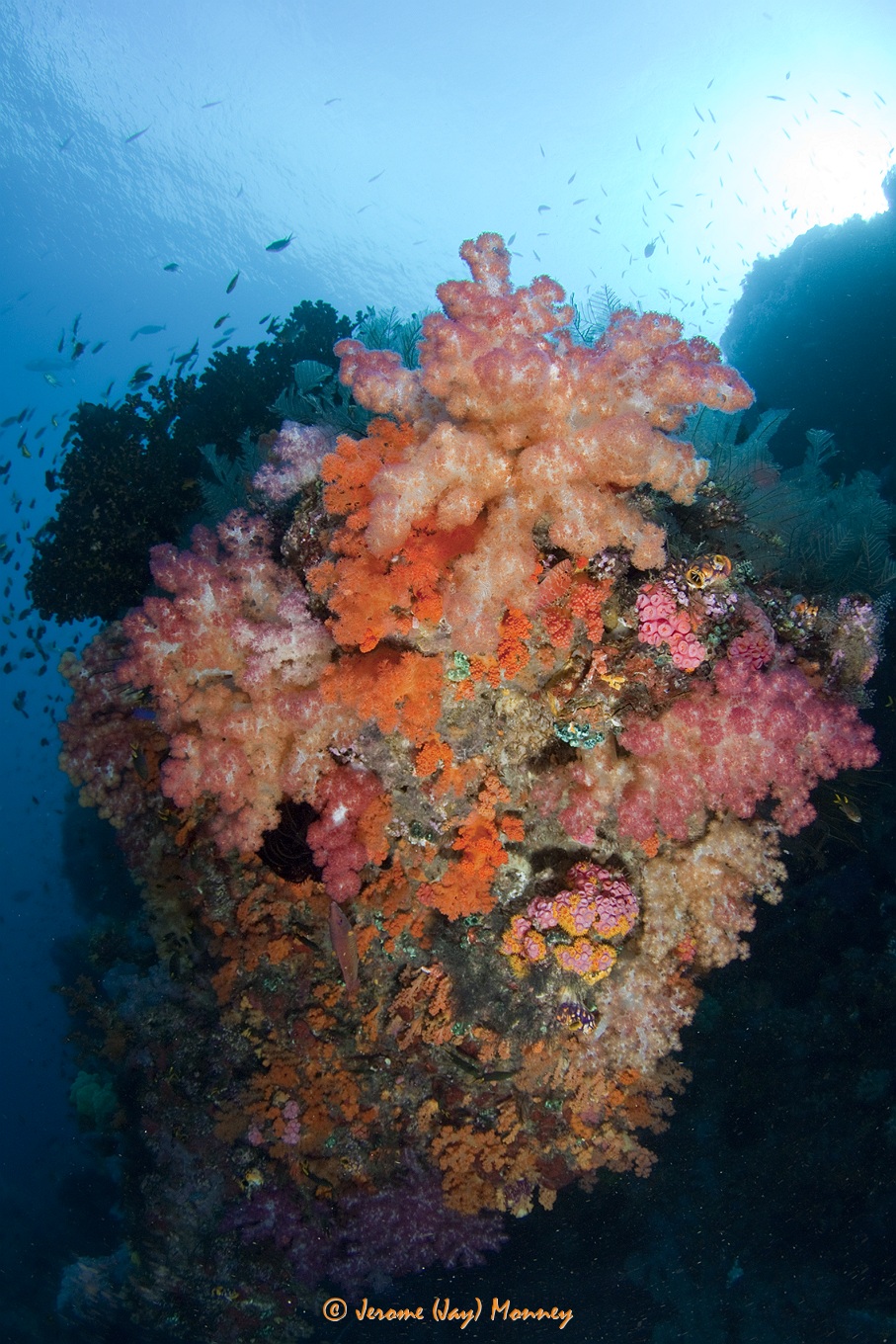 Raja Ampat in March 2013