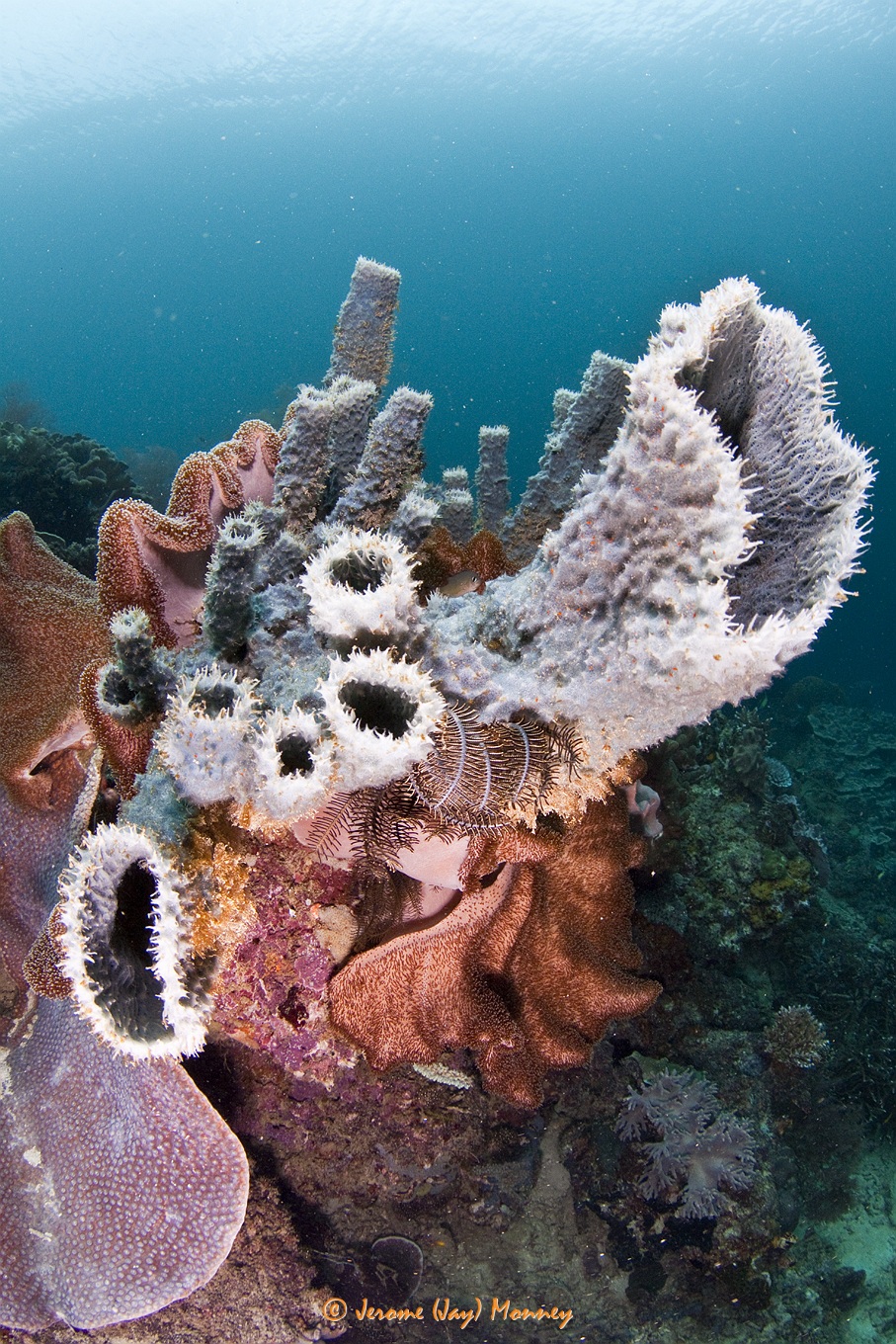 Raja Ampat in March 2013