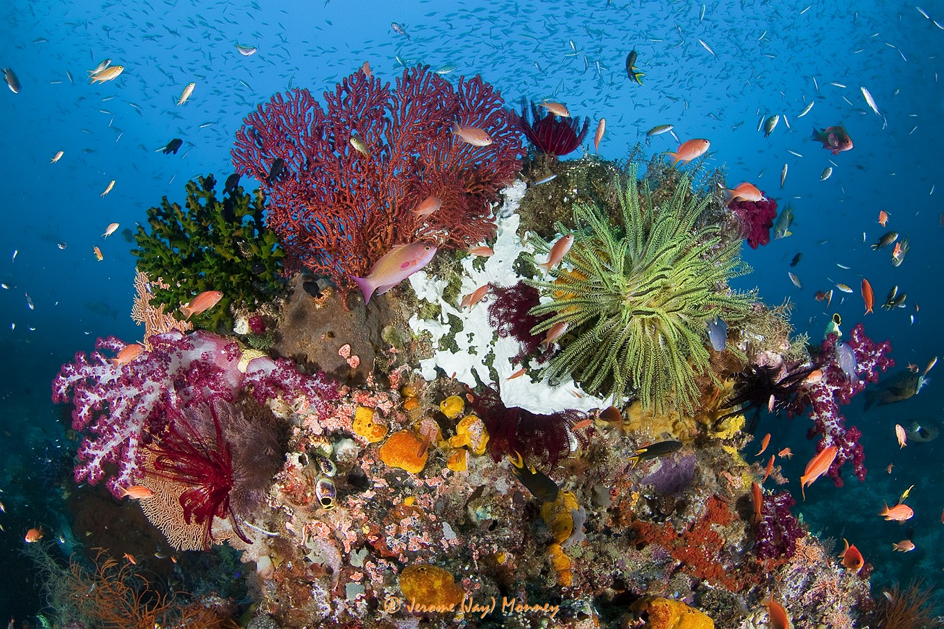 Raja Ampat in March 2013