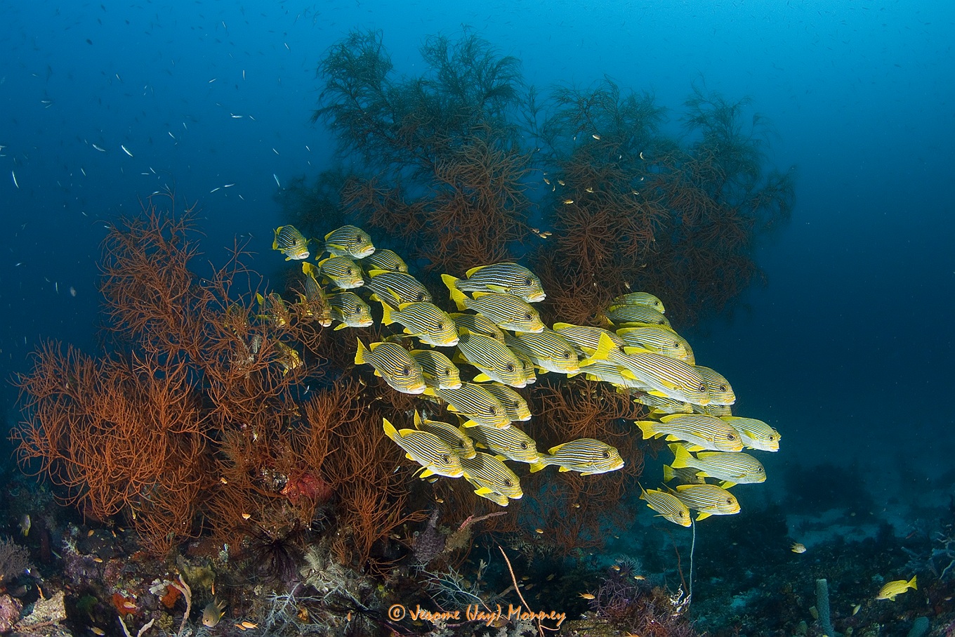 Raja Ampat in March 2013