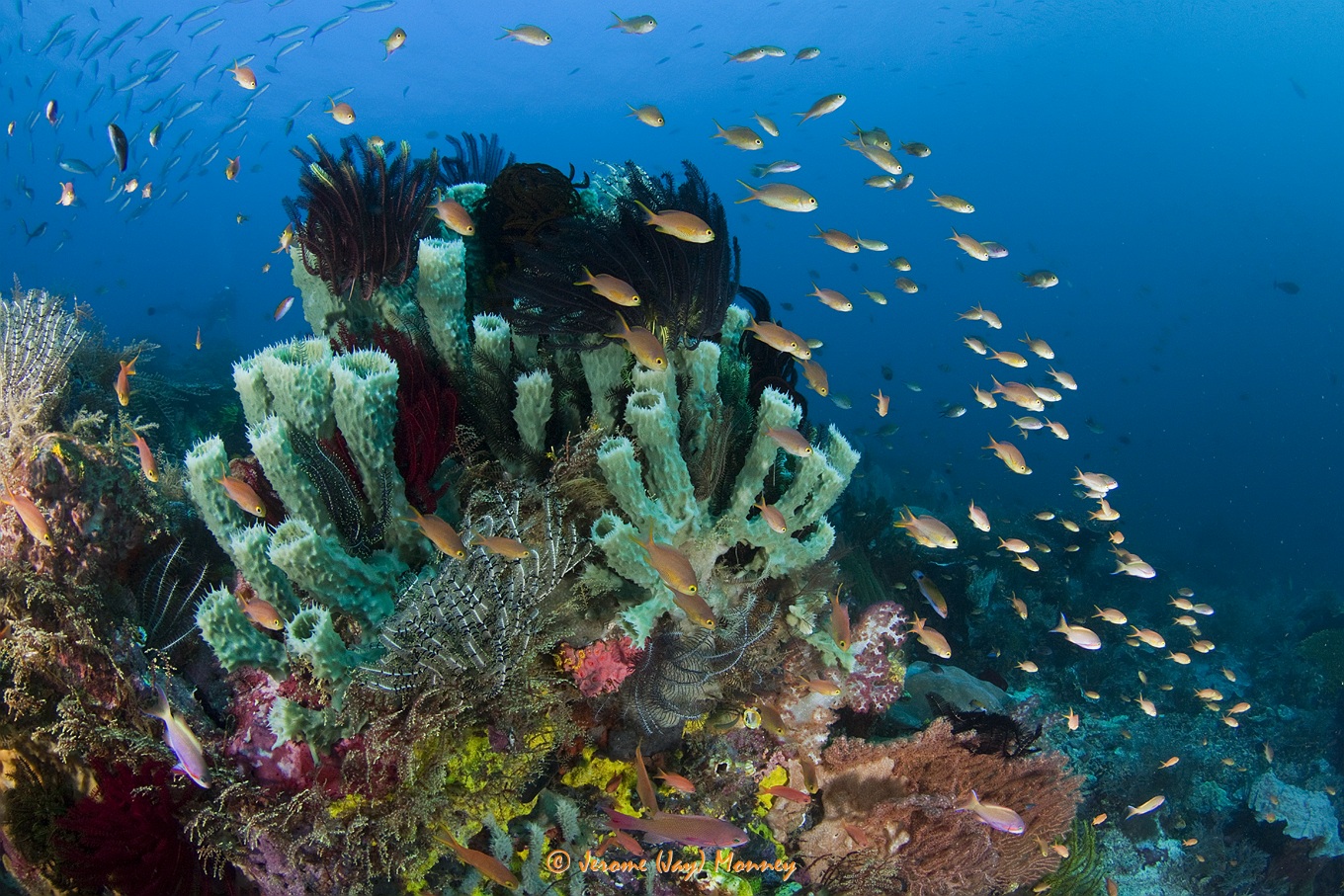 Raja Ampat in March 2013