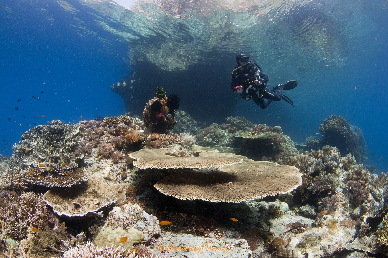 Raja Ampat in March 2013