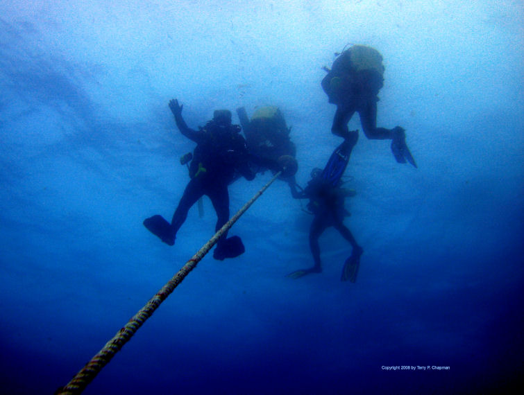 Rebreather Divers Ascending