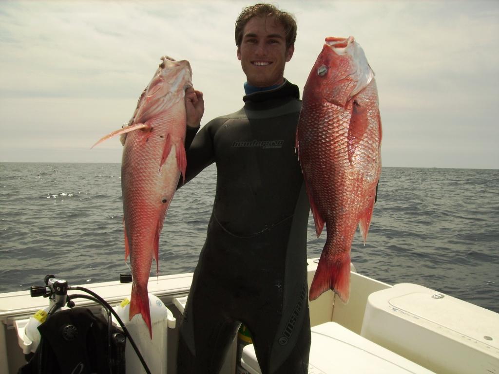 Red and Mutton snapper