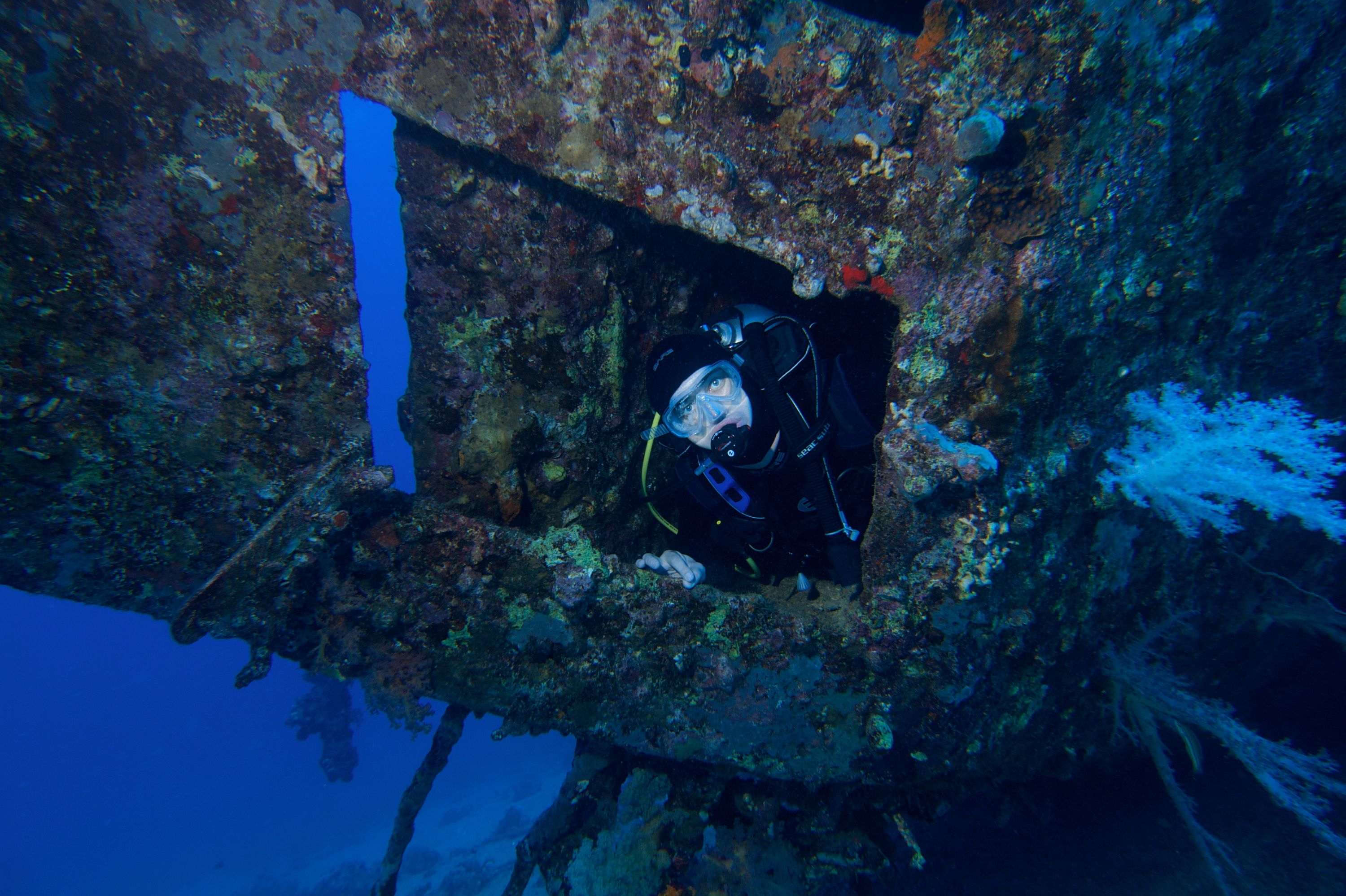 Red sea