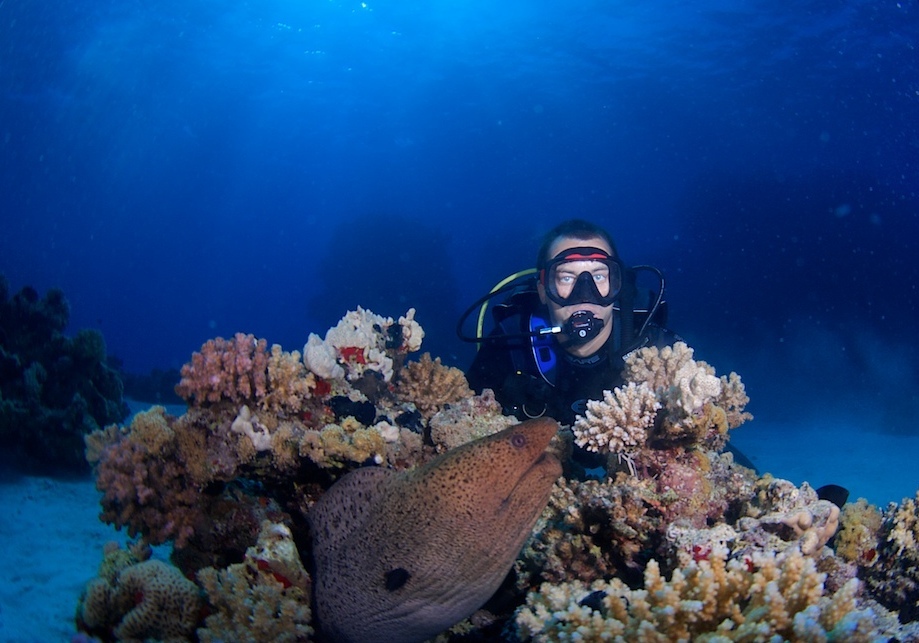 Red sea