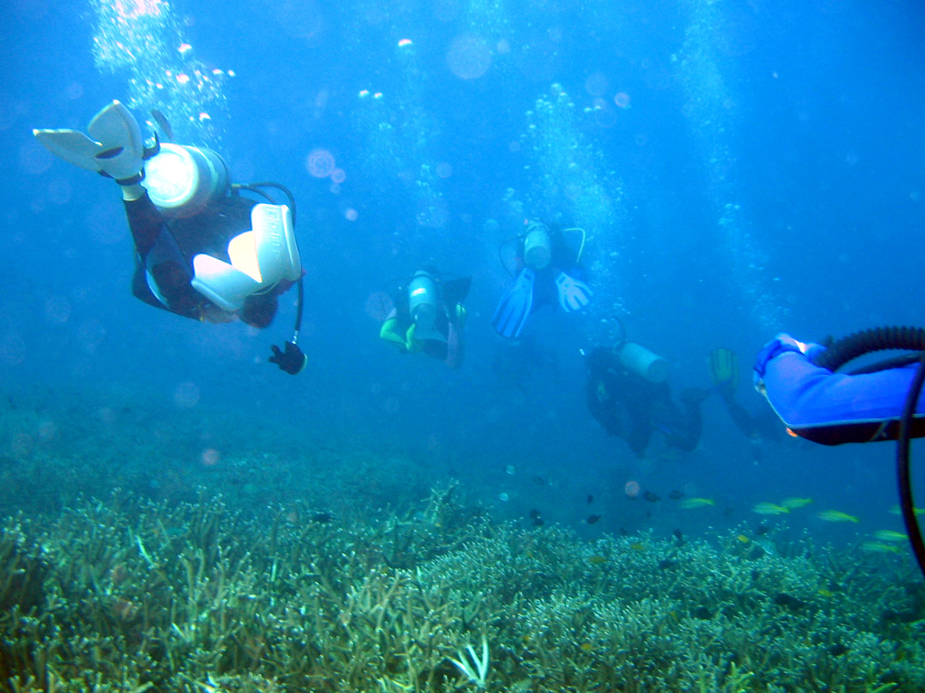 Redang 06 - Dive Group