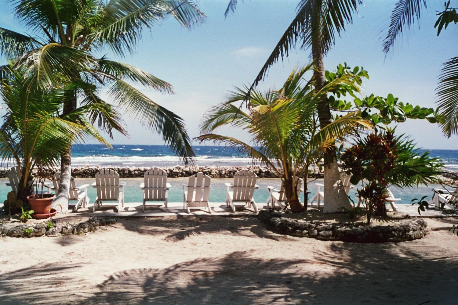 Reef House Resort - View of Pool