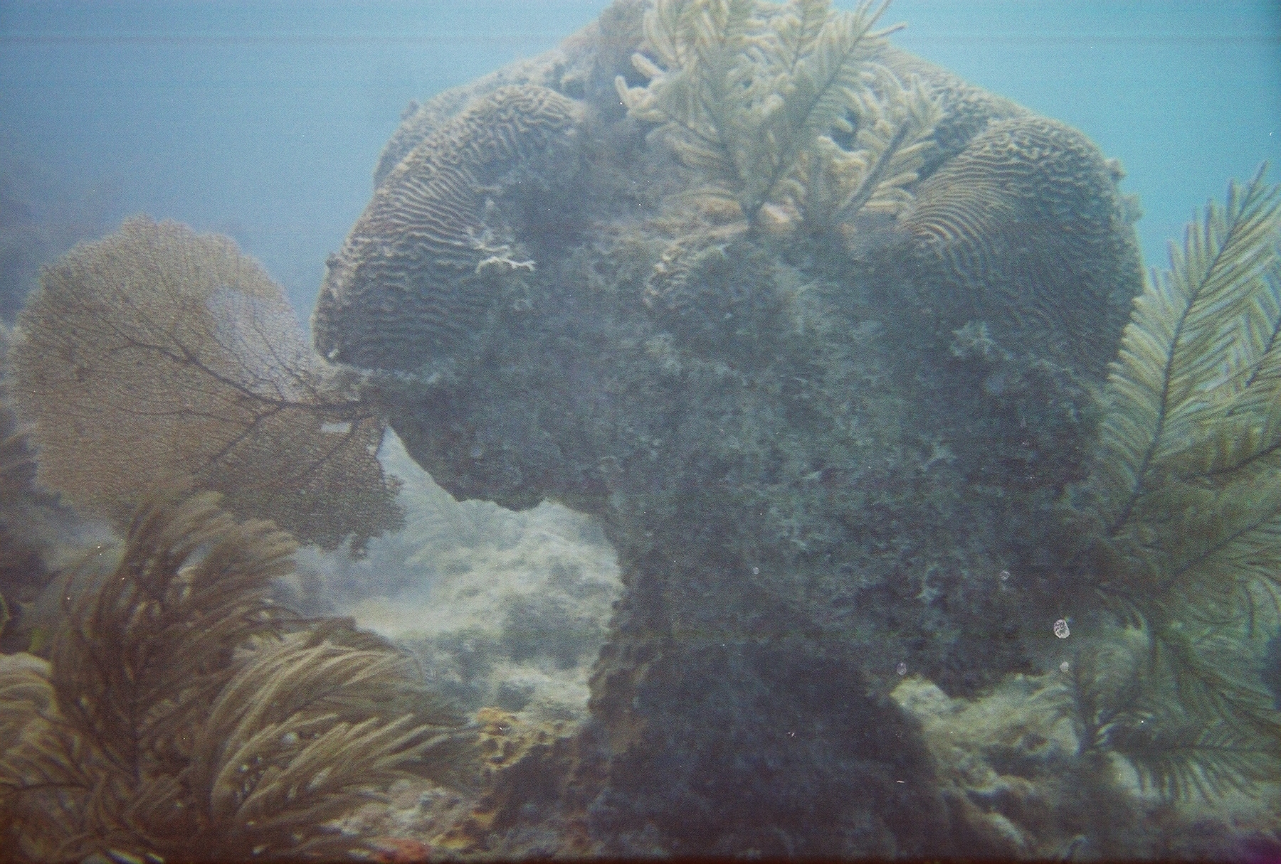 reef in key west