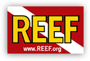 Reef_logo