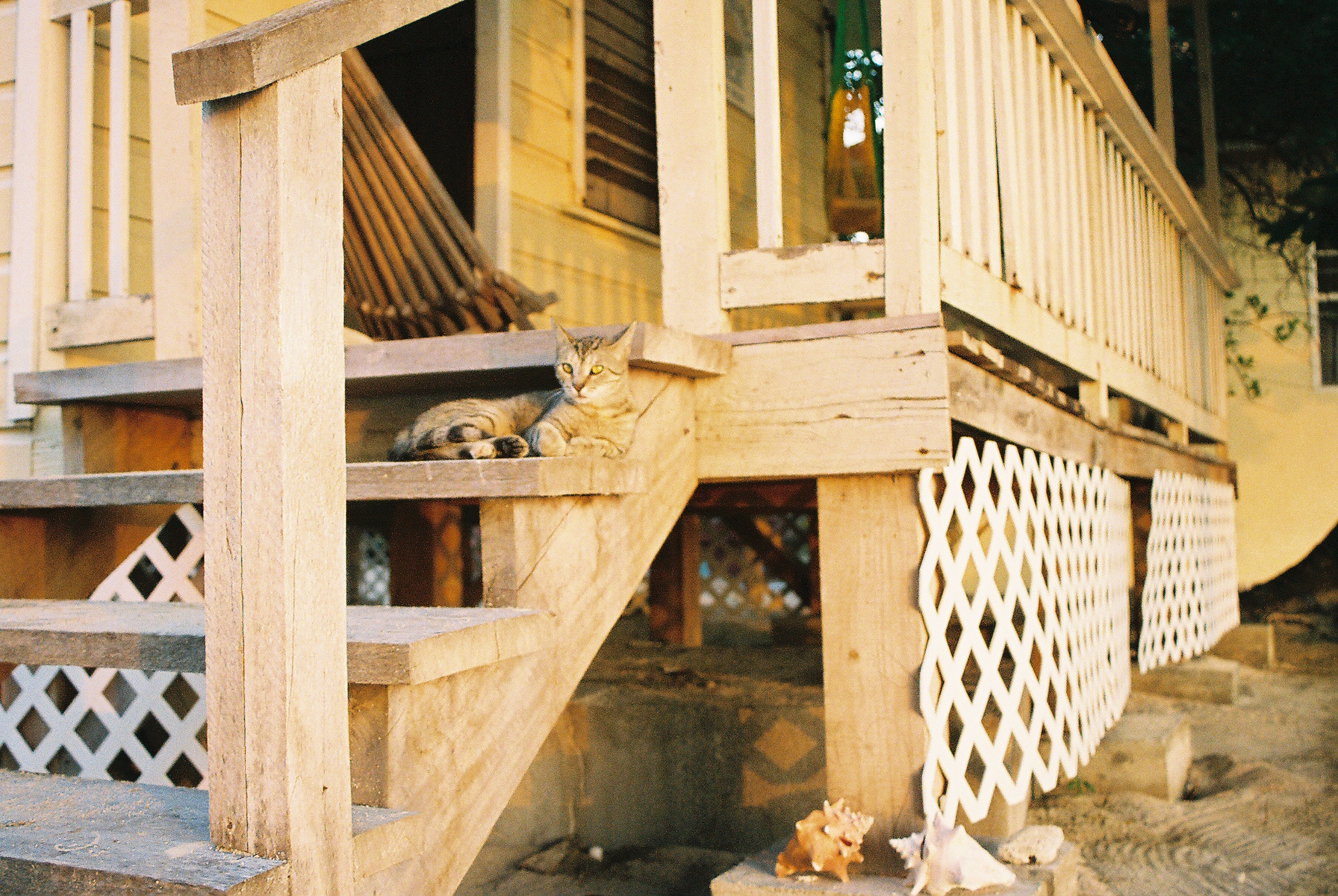 Reefs End Cabana Porch w/Sunset and Kitty