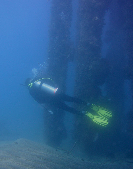 Relaxing Under Pertamina Pier