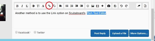 RichTextEditor