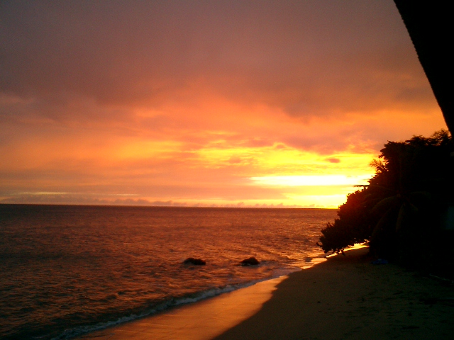 Rincon Lemontree Sunset