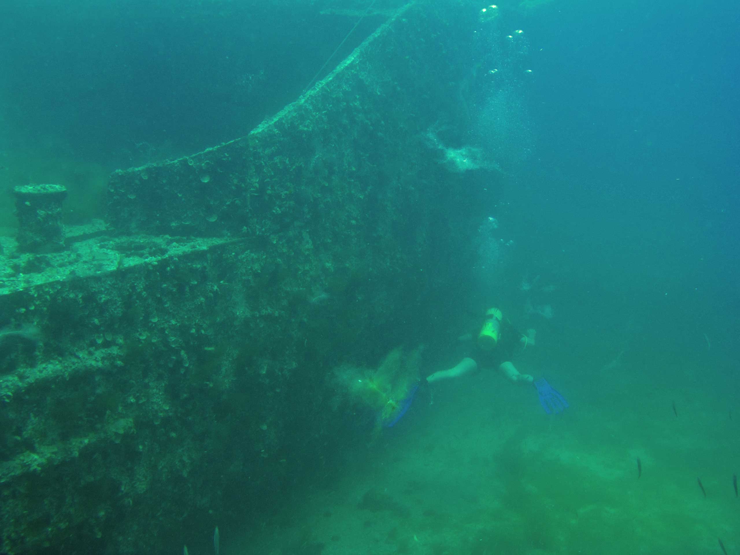 RJ Thompson Wreck, Gulf of Mexico off Tarpon Springs, Florida April 2006