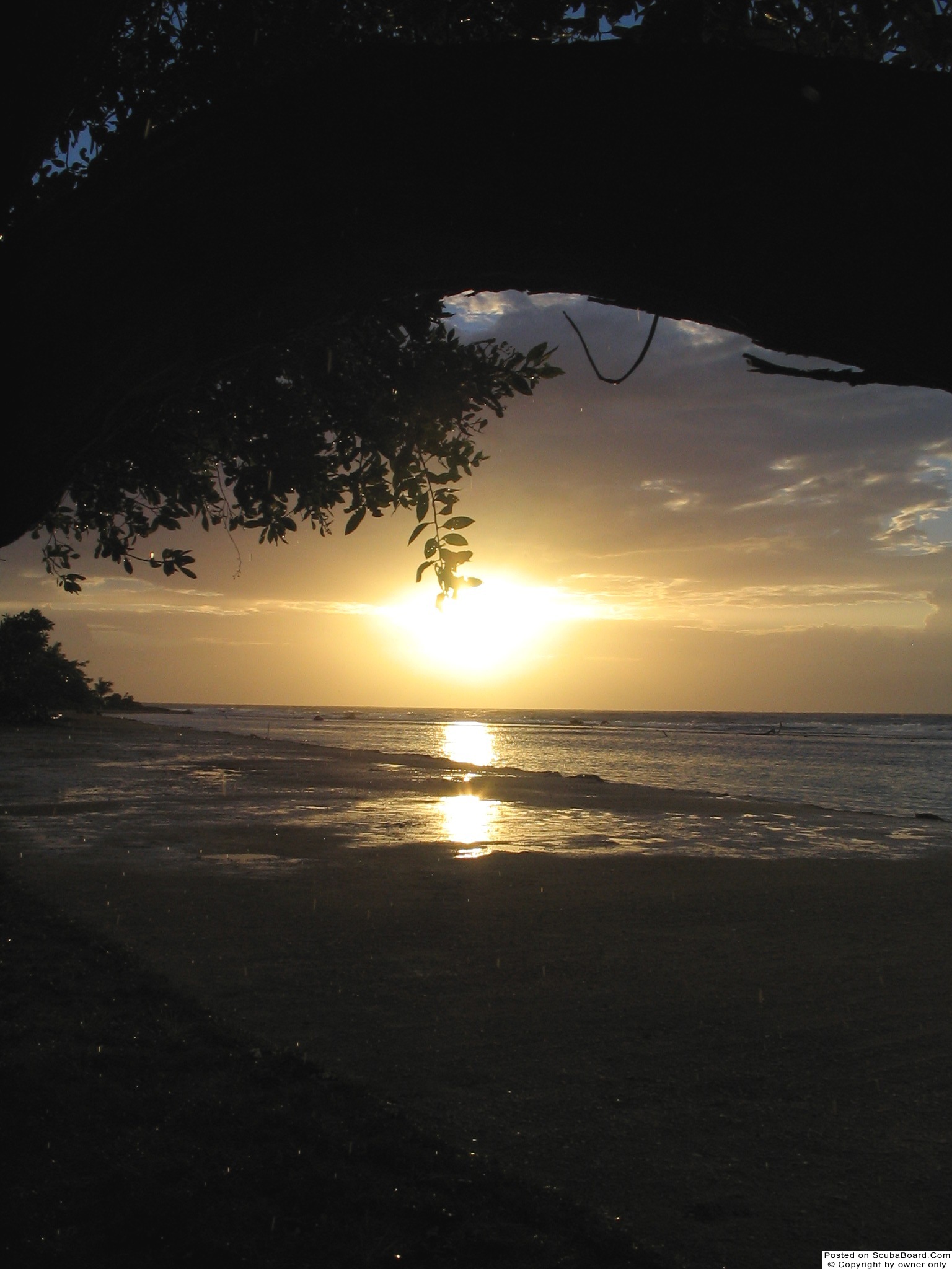 Roatan at dawn