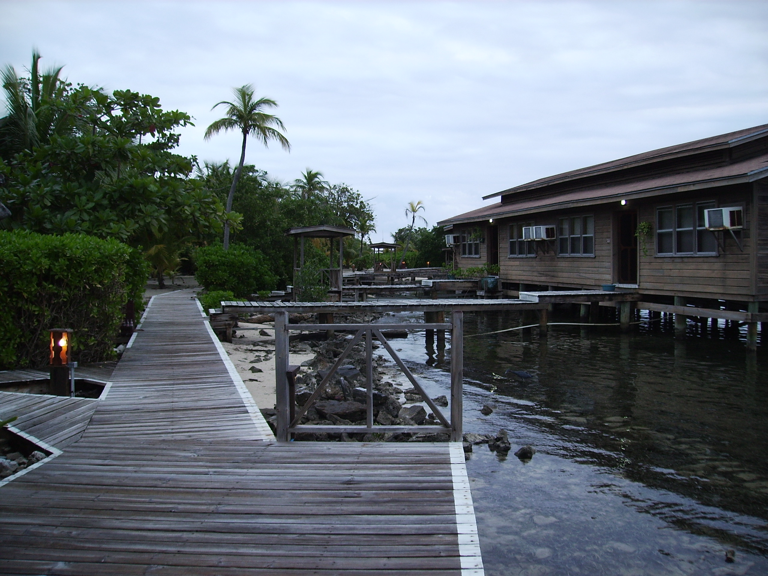 Roatan Cocoview