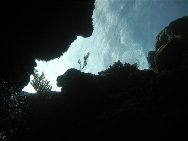 Roatan July 2009