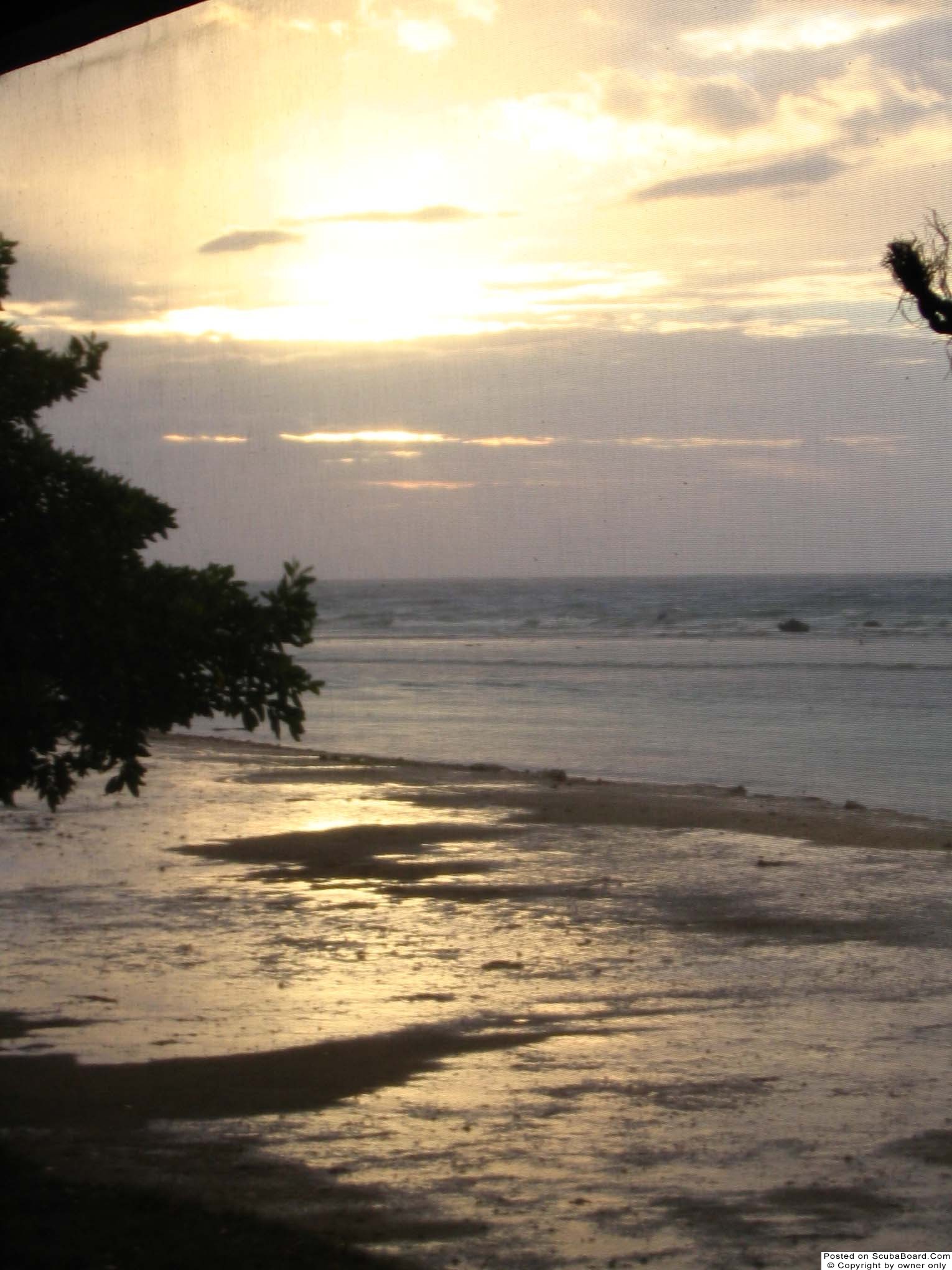 Roatan Rains