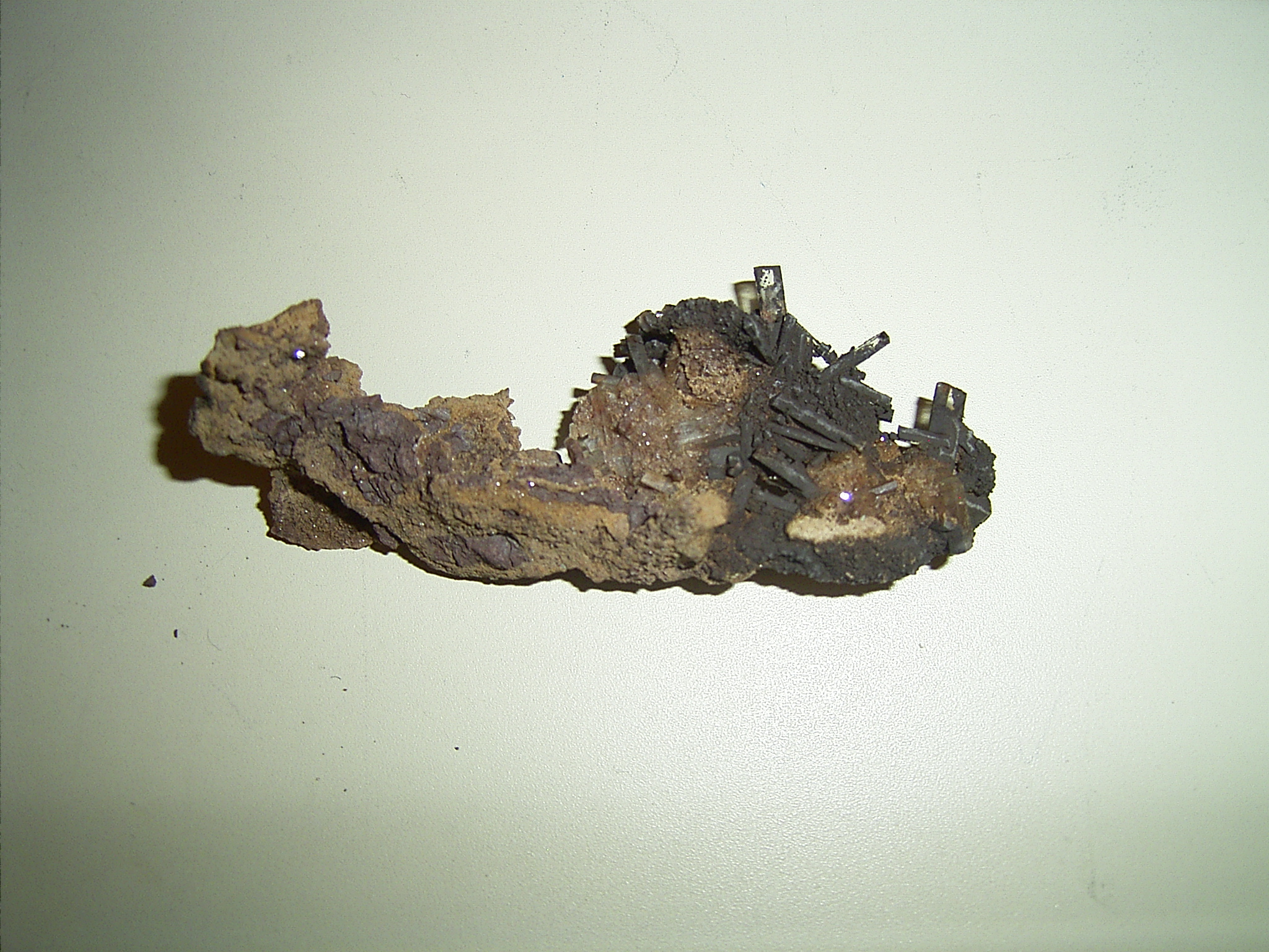 Rock Lake Specimen