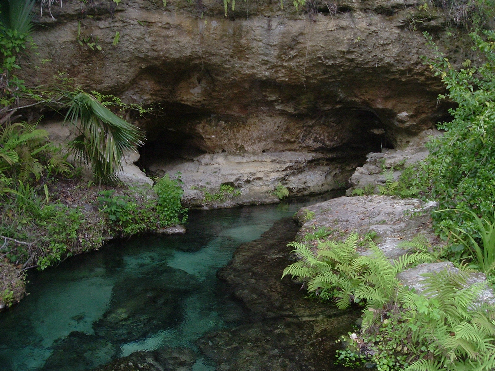 Rock spring