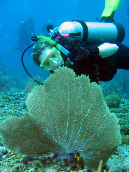 Ronda and a sea fan