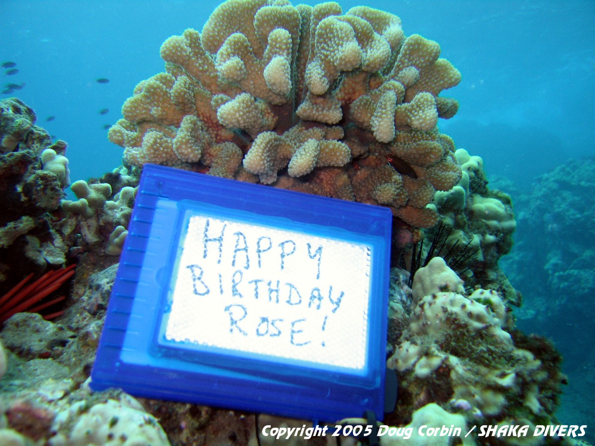 "Rose's U/W Birthday Wish"