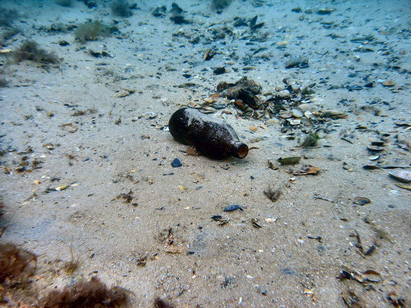 Rye Pier  26-02-06