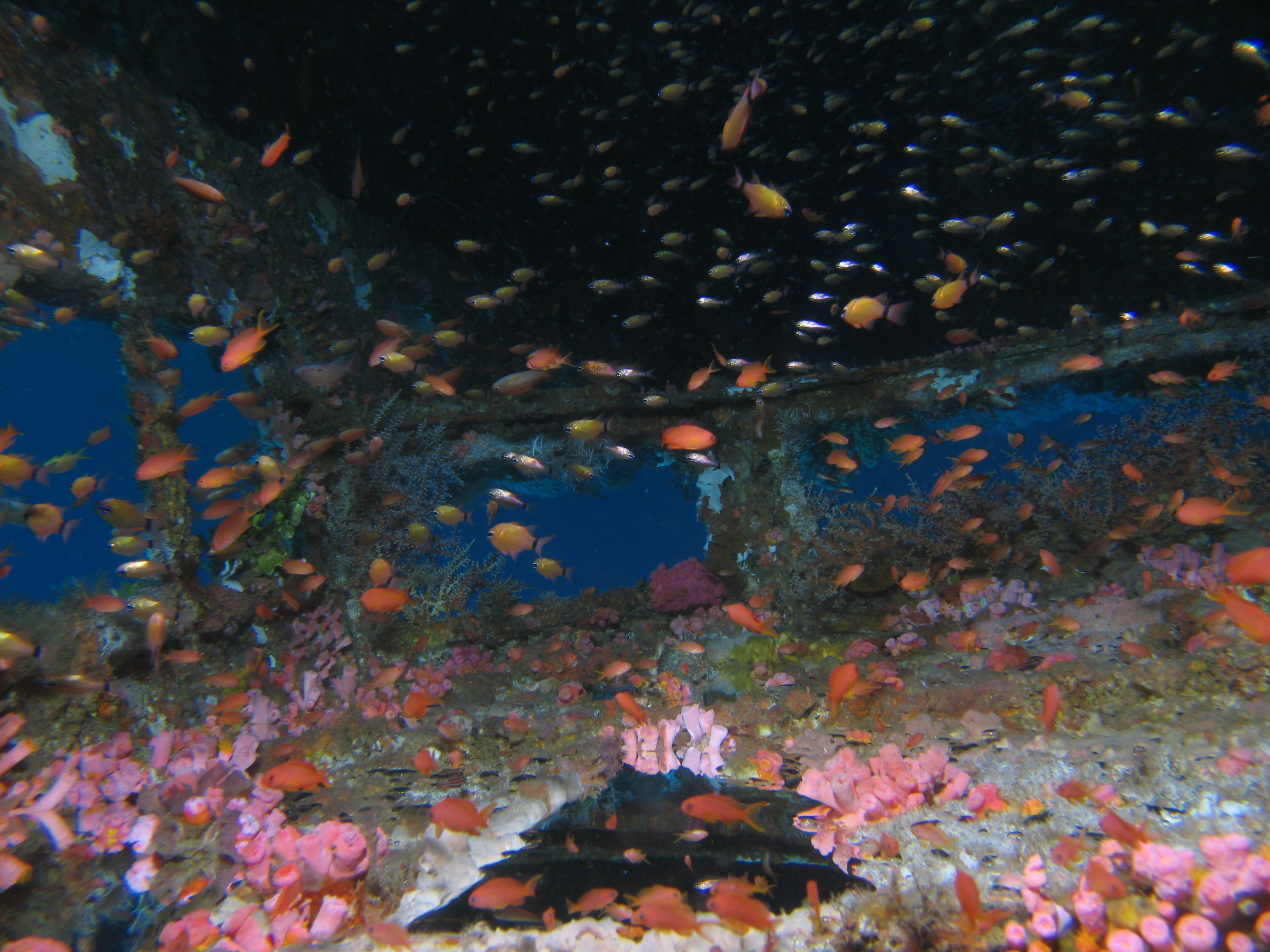 sabang ship wreck, philippines