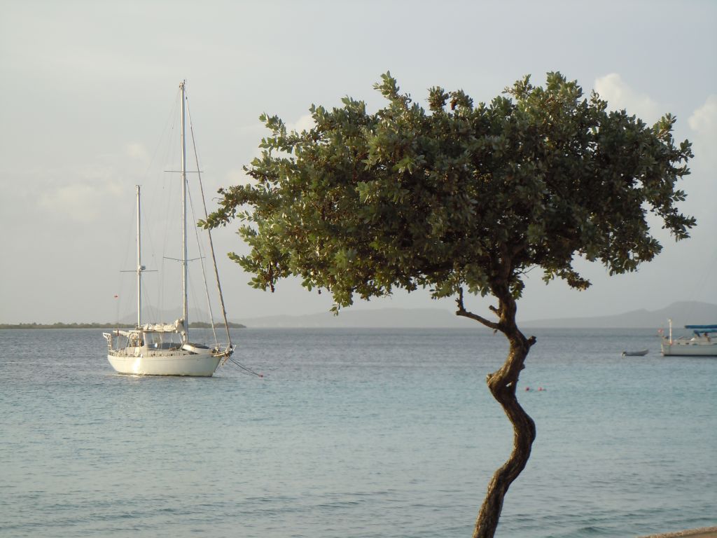 sailboat3