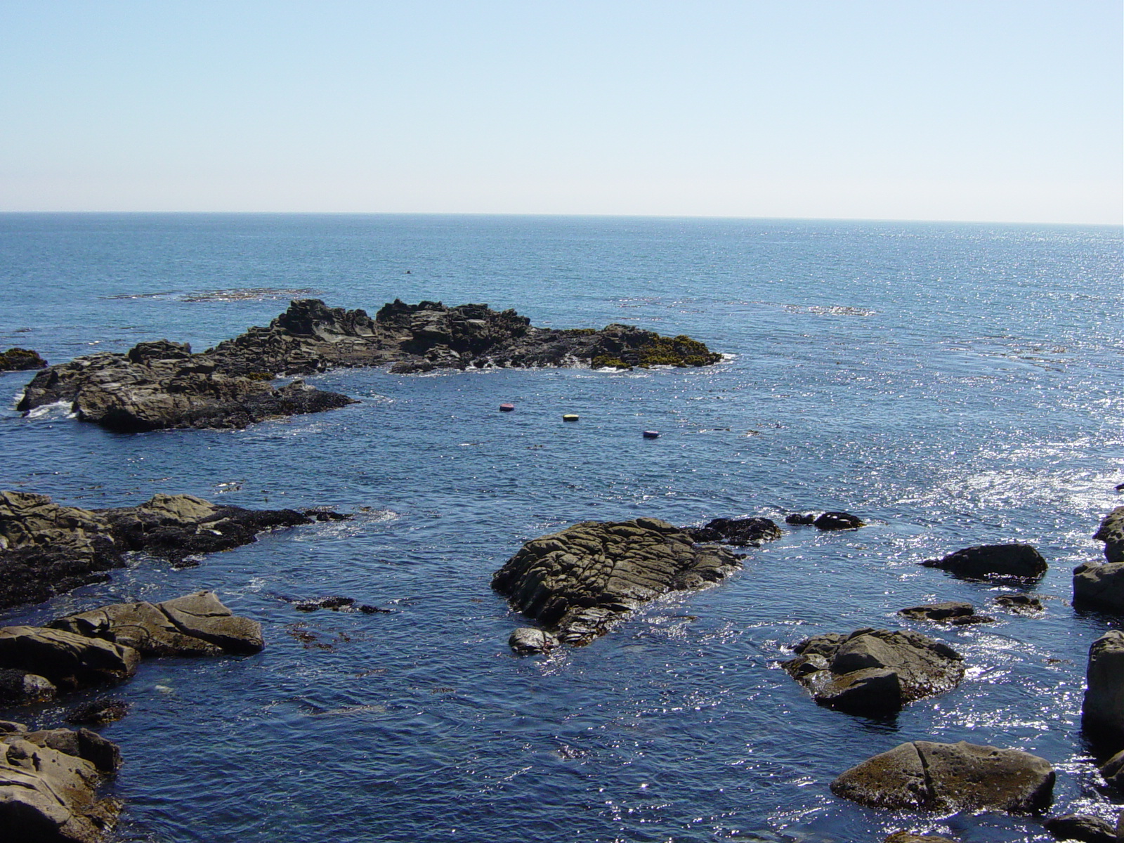 Salt Point Ab divers