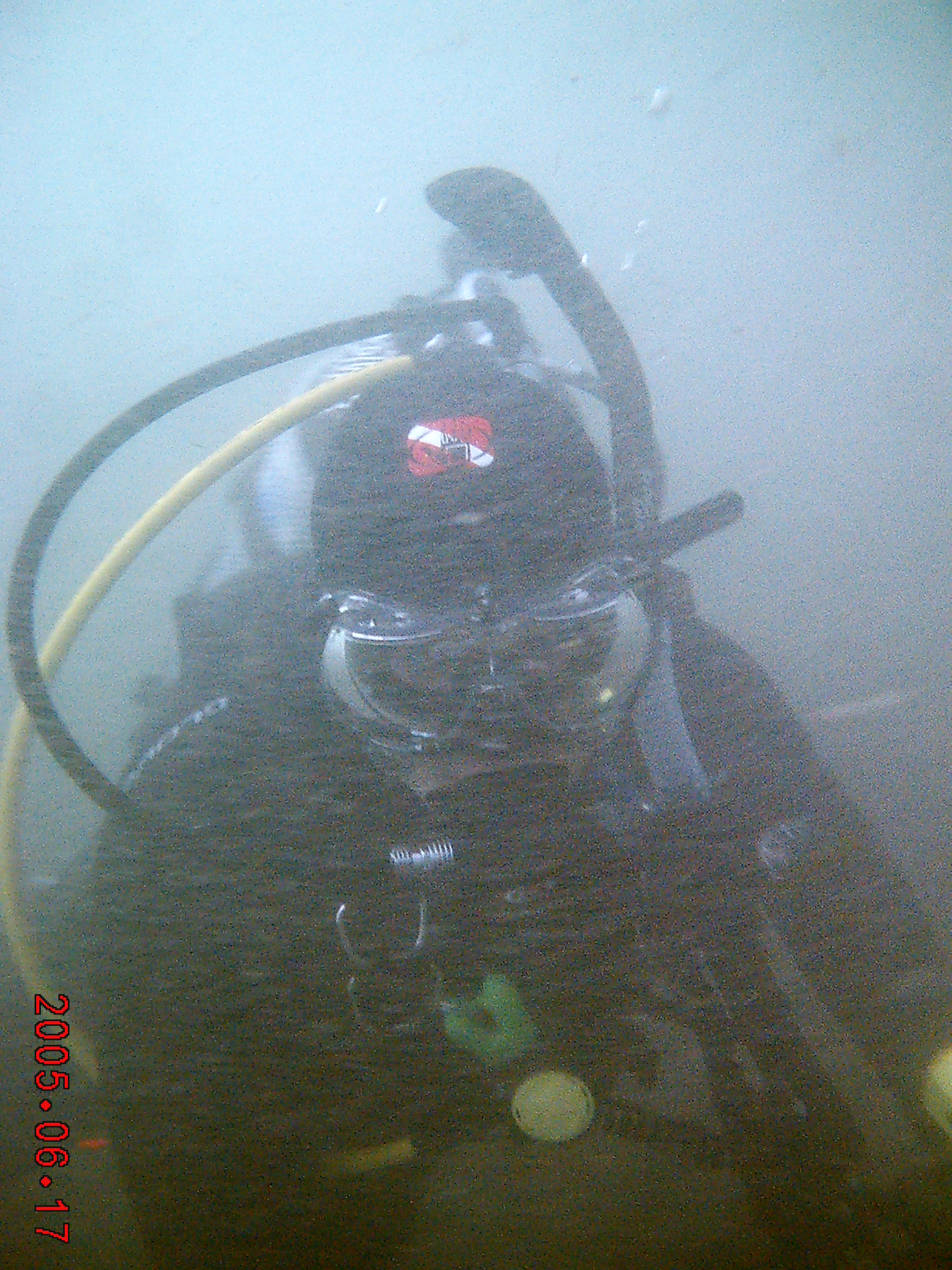 Sam 1.5 ft vis