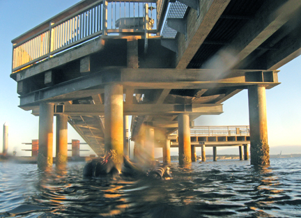 SamSSUnderDock