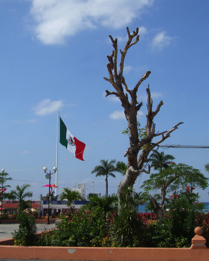 San Miguel, Cozumel