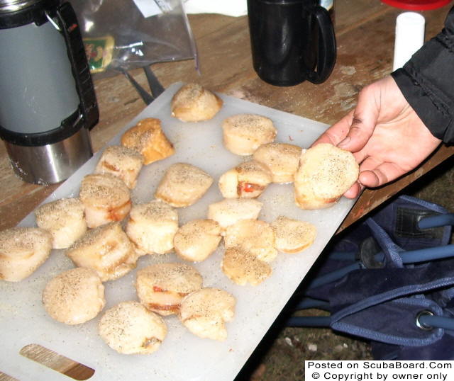 Scallops ready to saute in butter... Yum