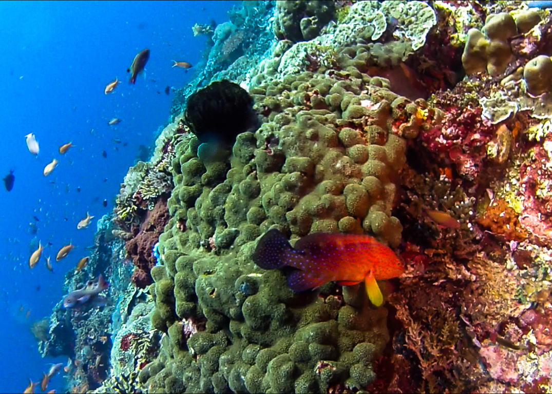 Screenshot_2014-02-23_13_33_41