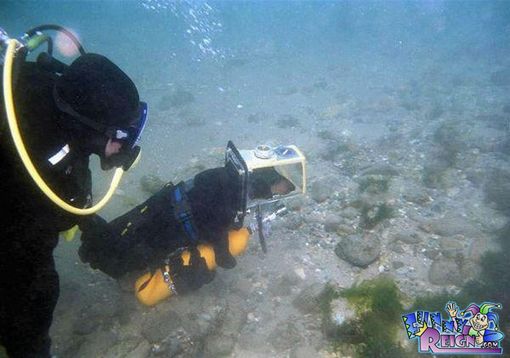 scuba-diving-dog