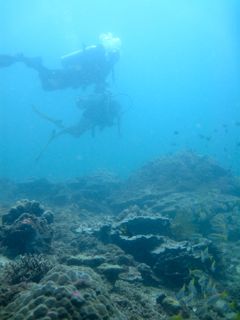 Scuba diving from Kota Kinabalu, Sabah with Borneo Dream