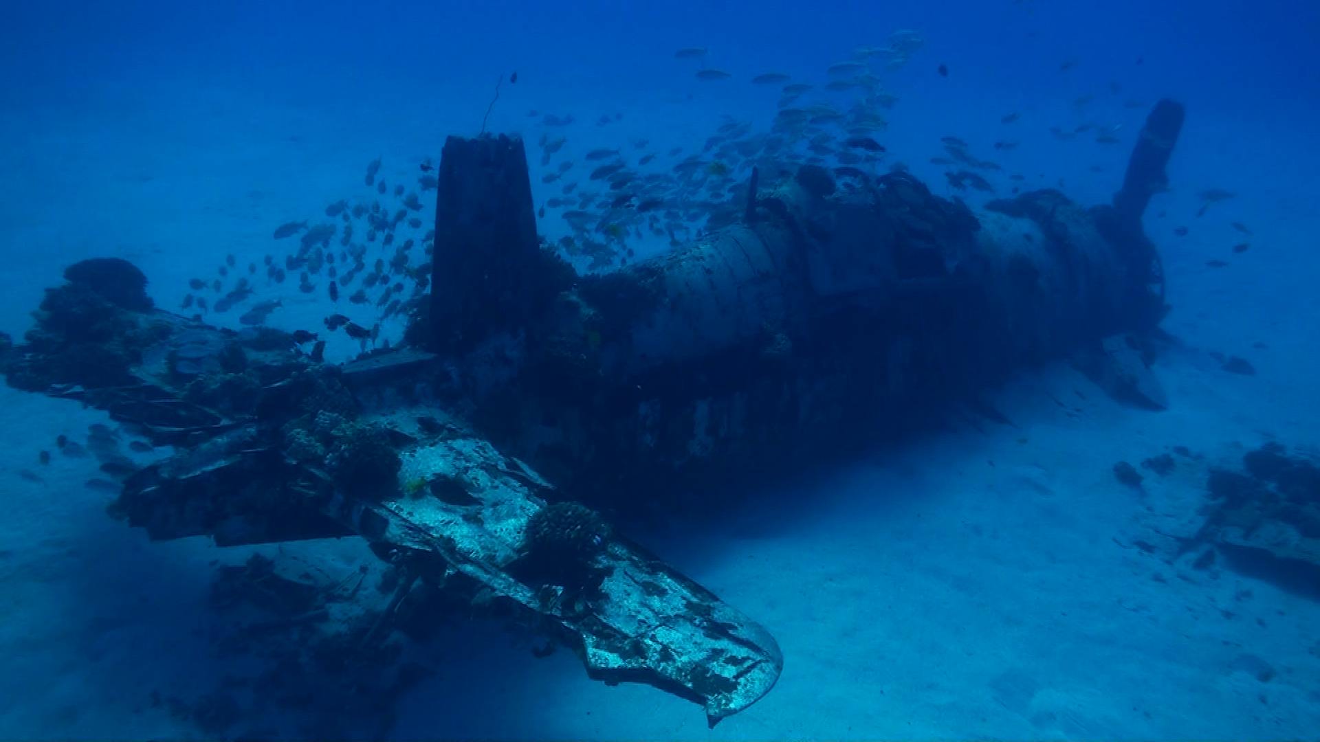 Scuba Diving on the North Shore of Oahu