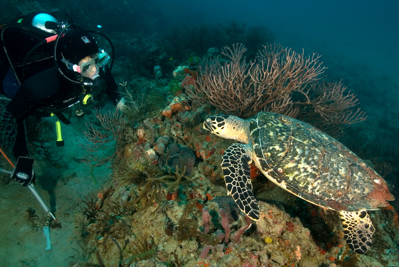 Scuba Jenny and Friend