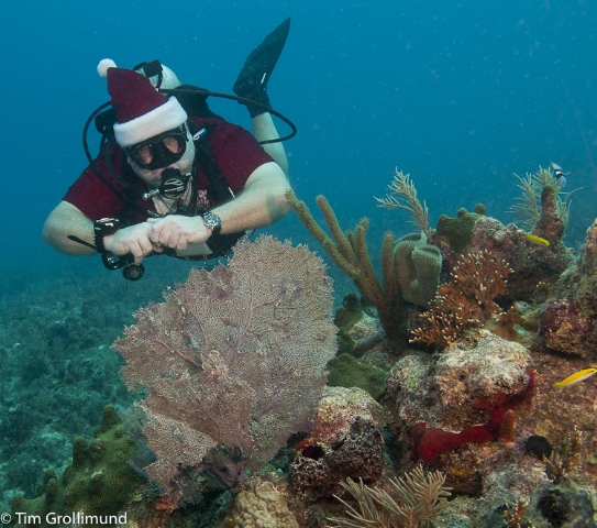 Scuba Santa Doc