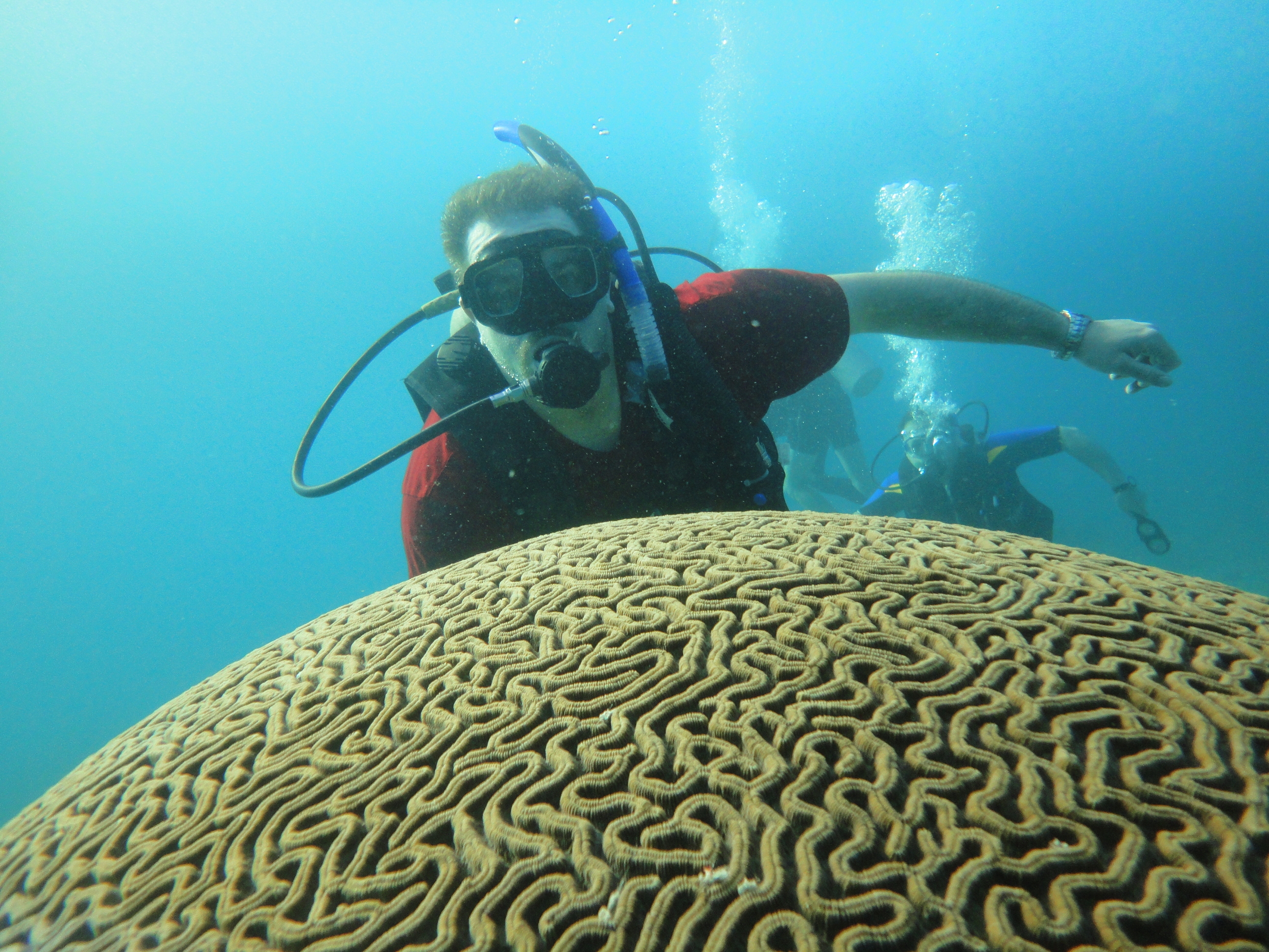 Scuba_Board