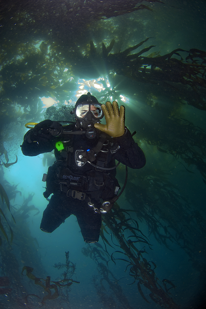 SCUBA_Diver_Monterey_2007_008