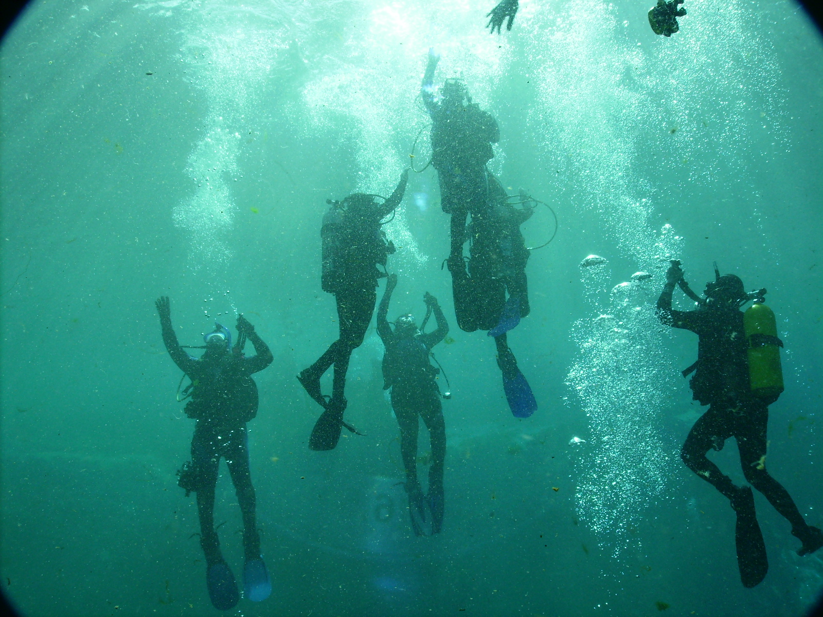 Sea Cadet Dive